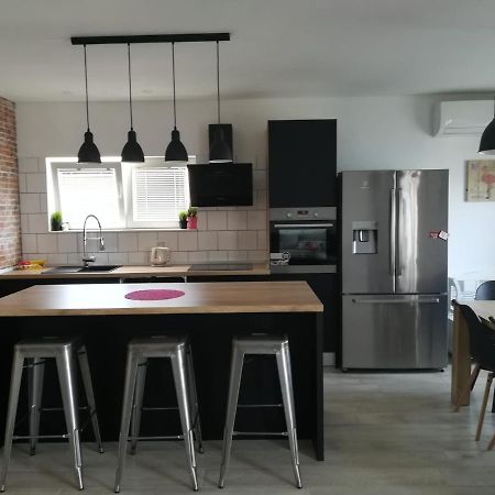 Apartmani Radic Rg 罗戈兹尼察 外观 照片