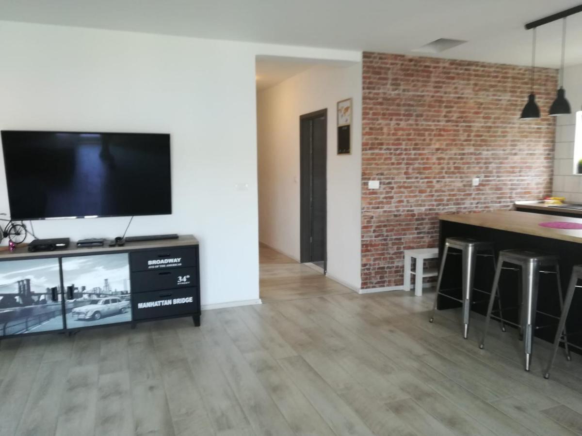 Apartmani Radic Rg 罗戈兹尼察 外观 照片