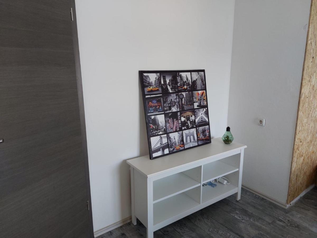 Apartmani Radic Rg 罗戈兹尼察 外观 照片