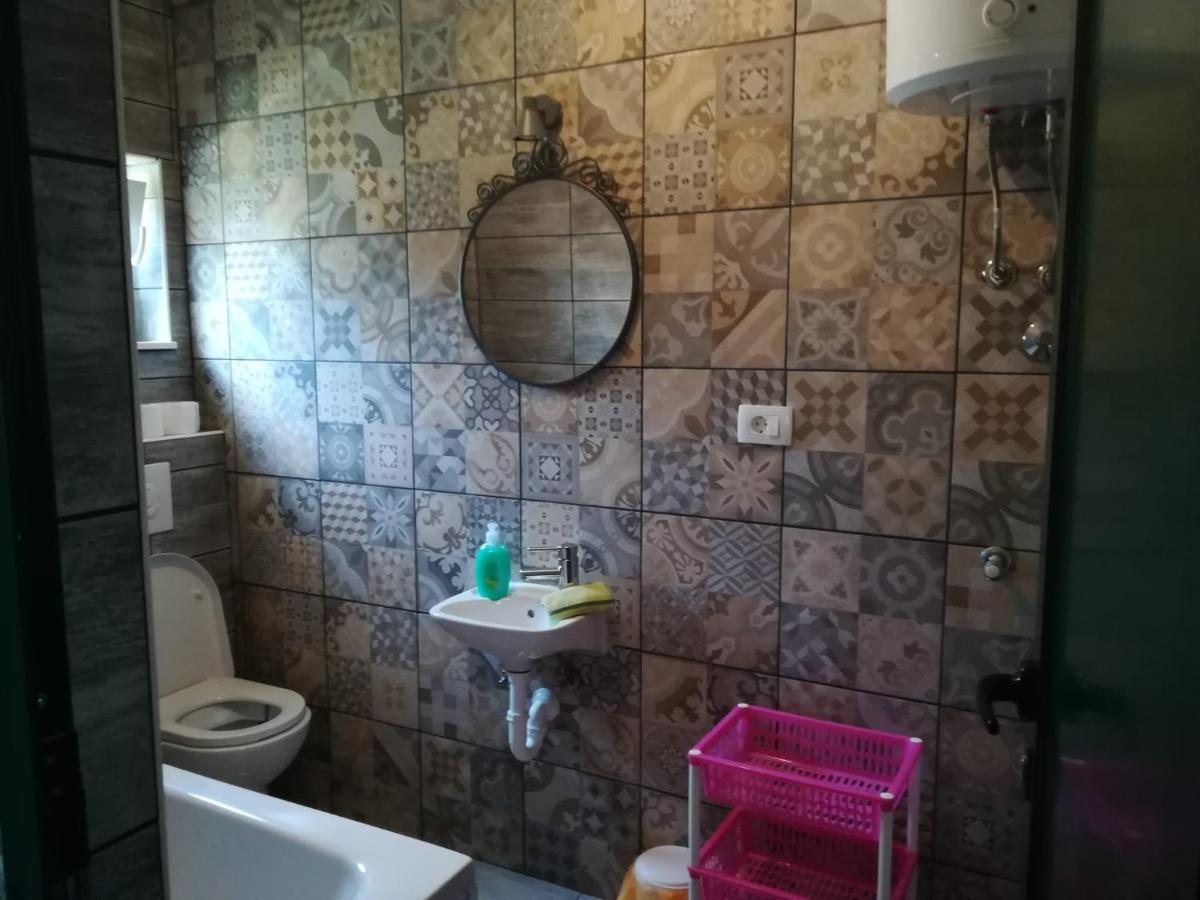 Apartmani Radic Rg 罗戈兹尼察 外观 照片