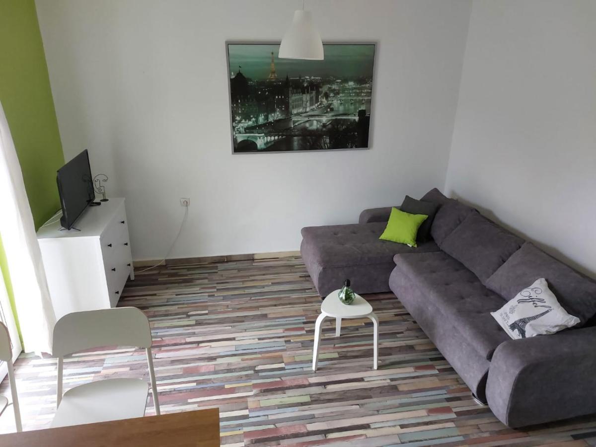 Apartmani Radic Rg 罗戈兹尼察 外观 照片