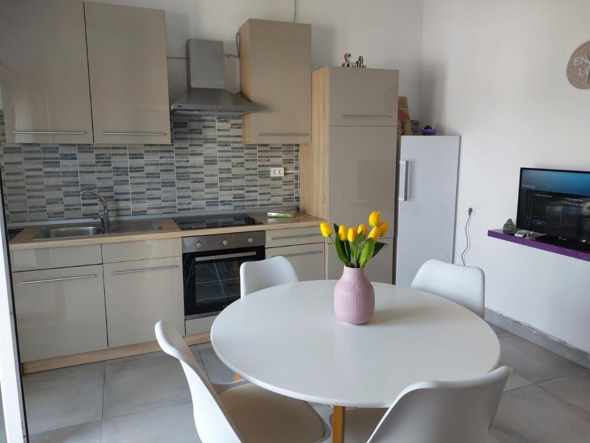 Apartmani Radic Rg 罗戈兹尼察 外观 照片