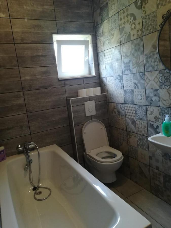 Apartmani Radic Rg 罗戈兹尼察 外观 照片