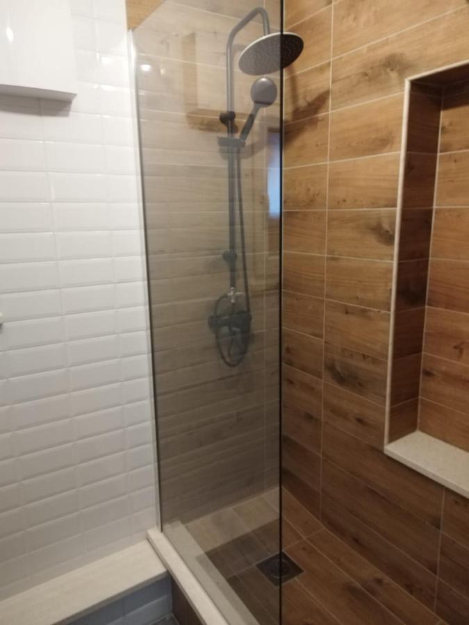 Apartmani Radic Rg 罗戈兹尼察 外观 照片